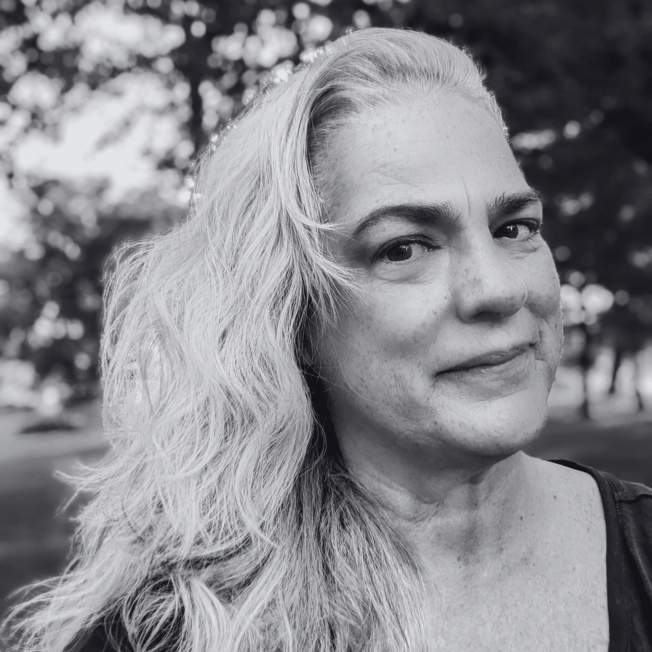 web solution - 2025-02-26T084520.675